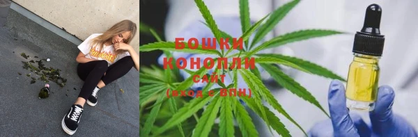 бошки Бородино