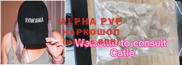 молекула духа Бронницы